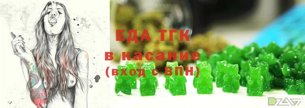 хмурый Арсеньев