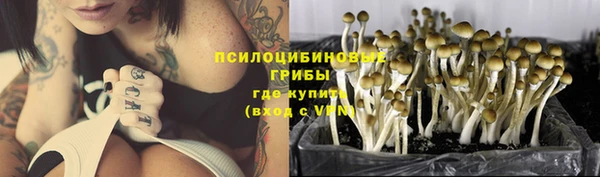 mdpv Аркадак