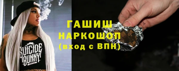 хмурый Арсеньев