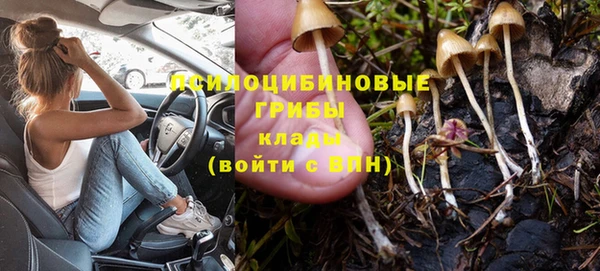 хмурый Арсеньев
