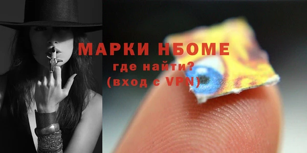 хмурый Арсеньев