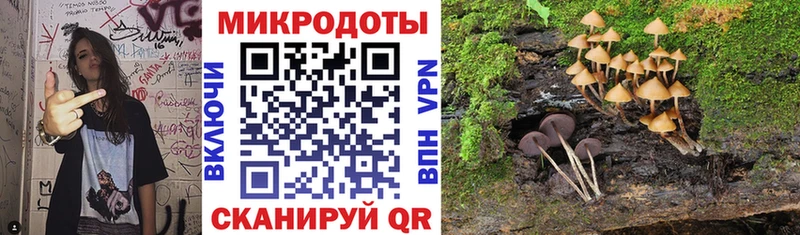 Псилоцибиновые грибы прущие грибы  купить наркоту  Сосновоборск 
