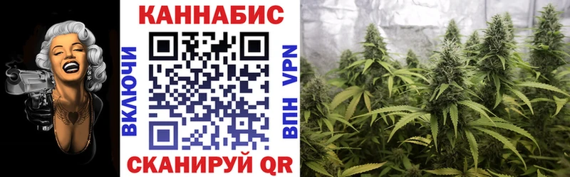 Конопля планчик где продают наркотики Сосновоборск